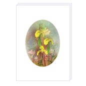 otelets - NLFA070 Card Size: 105x148mm