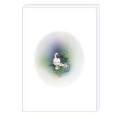 Notelets - NLFA070 Card Size: 105x148mm