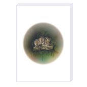 Notelets - NLFA070 Card Size: 105x148mm